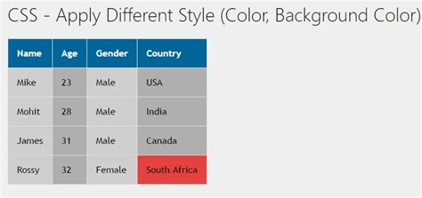 how to apply css for table td