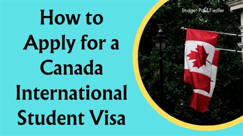 how to apply for schengen visa from canada as an international student
