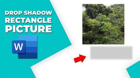 how to apply the drop shadow rectangle quick style in word