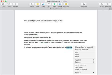 how to auto correct spelling in word in mac