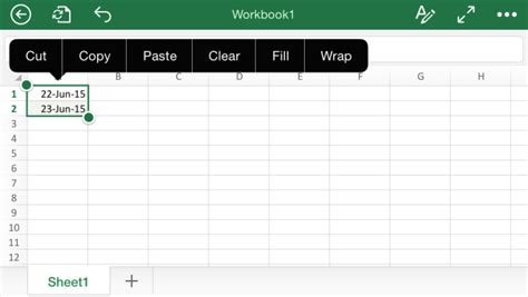 how to autofill in excel on ipad