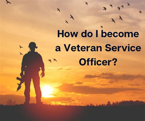 how to become a vso
