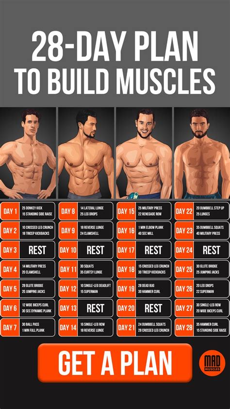 how to build a gym program