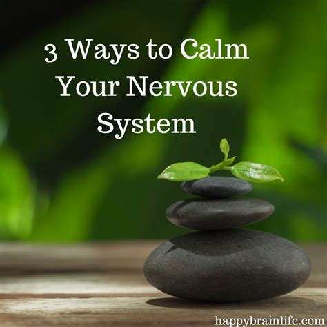 how to calm central nervous system
