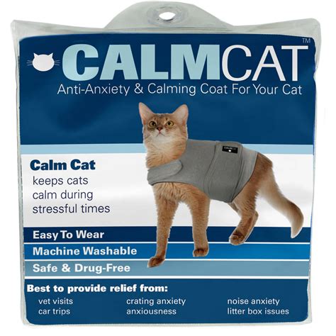 how to calm my cat from stress and anxiety