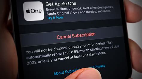 how to cancel a subscription in apple pay