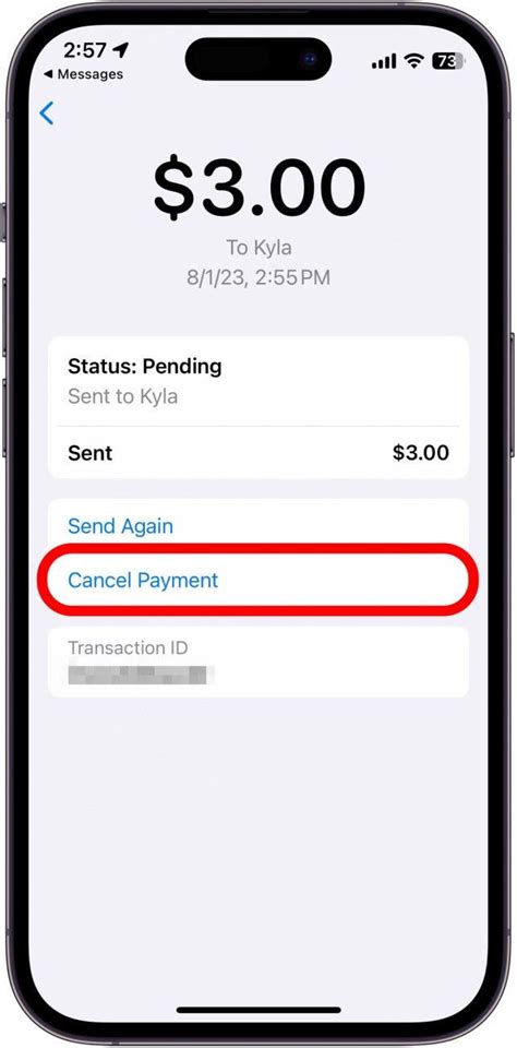 how to cancel from apple pay