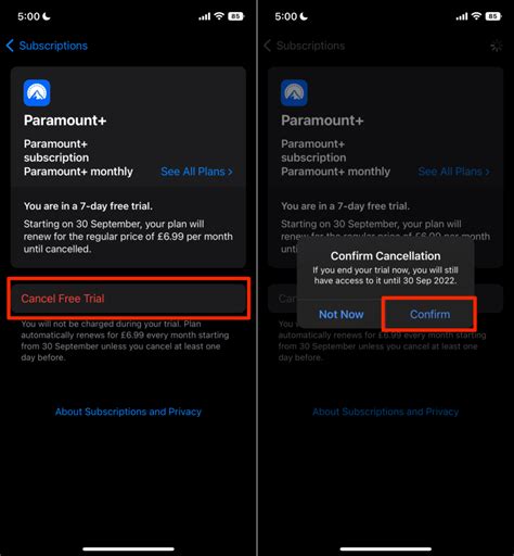 how to cancel paramount plus on apple phone