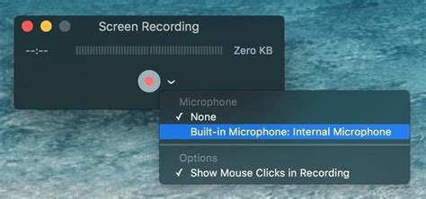 how to capture video on mac with sound
