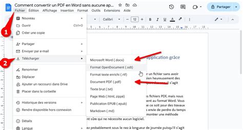 how to change a pdf to word in google drive