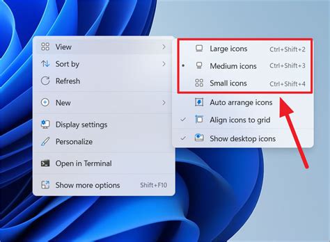 how to change app size on desktop windows 11