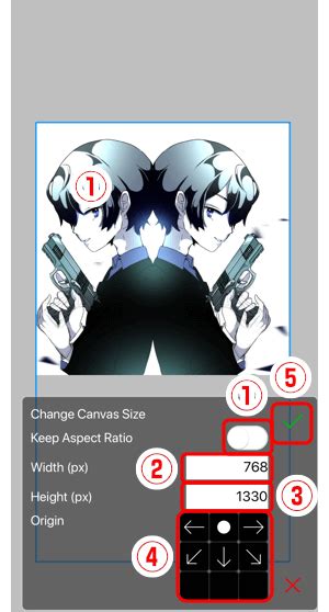 how to change canvas size in ibis paint x