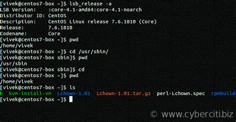 how to change directory to root in linux