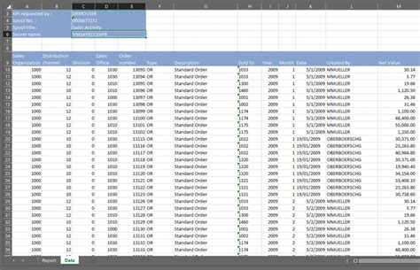 how to change excel format in sap