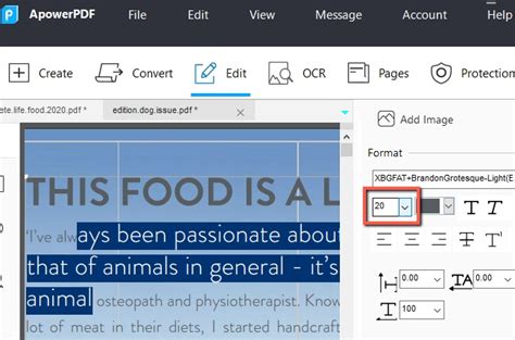 how to change font size in pdf comment box