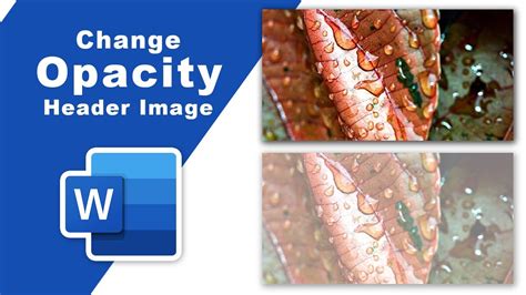 how to change header image in word