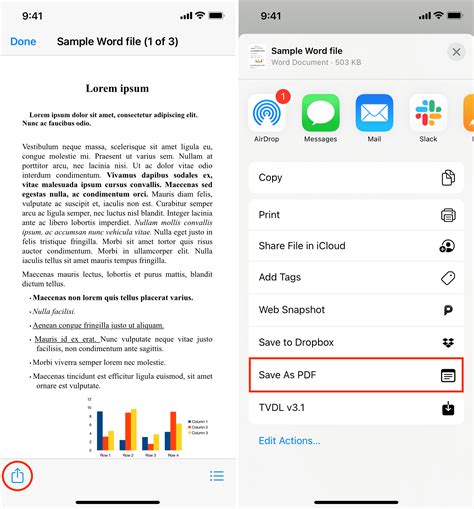 how to change pdf to doc on ipad