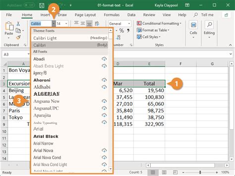 how to change text format in excel cell