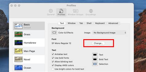 how to change text size in terminal mac