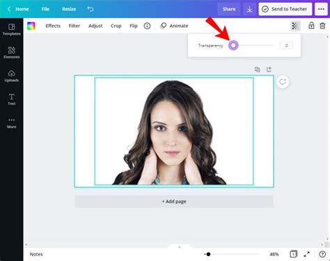 how to change the transparency of an image in canva