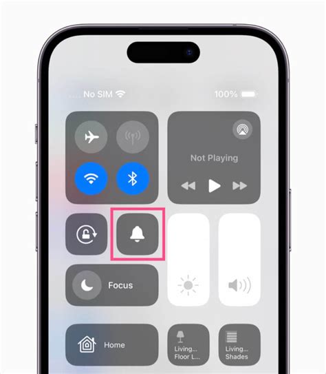 how to change what the silent button does on iphone 16