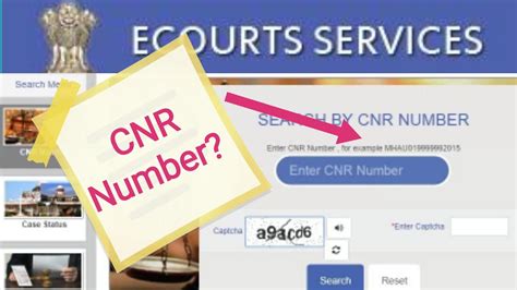 how to check case status by cnr number
