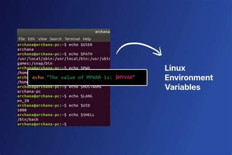 how to check environment variables in linux