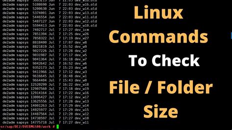 how to check folder in linux
