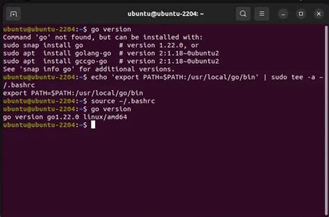 how to check go version in ubuntu