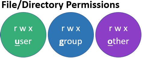 how to check home directory permissions in linux