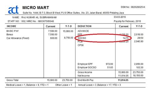 how to check my epf and socso number