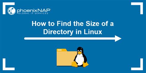 how to check root folder size in linux