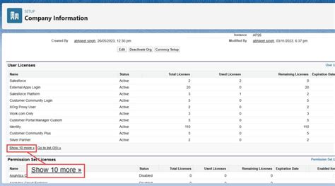 how to check user activity in salesforce