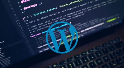 how to check which theme is used in wordpress website