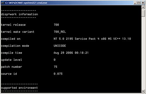 how to check work process in sap at os level