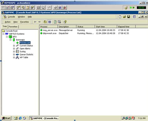 how to check work process in sap at os level linux