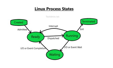 how to check work process status in linux