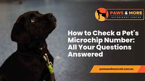 how to check your dog's microchip number