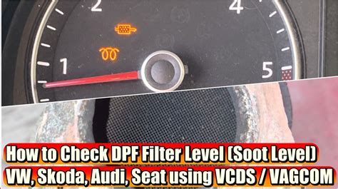how to check your dpf
