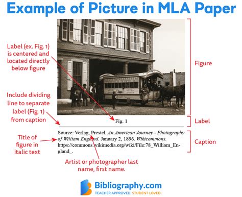 how to cite a figure in text mla
