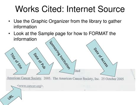 how to cite internet sources examples