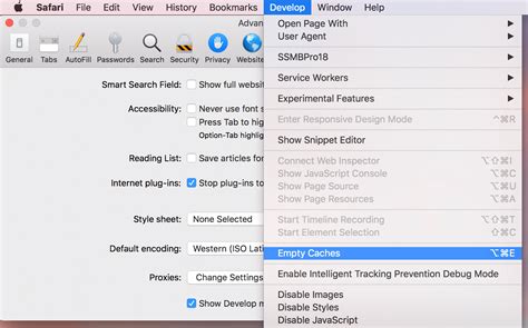 how to clear cache on your apple computer