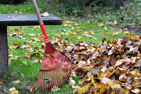 how to clear leaves from garden