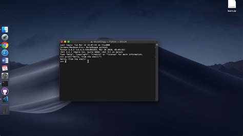 how to code python in terminal mac