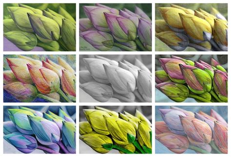 how to color a grayscale image