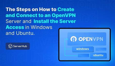 how to connect to openvpn access server