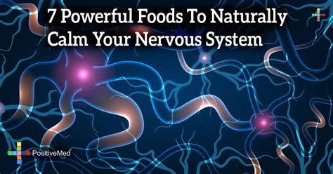 how to control nervous system naturally