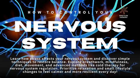 how to control your nervous system