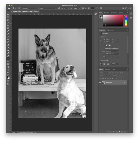 how to convert a grayscale image to color in photoshop