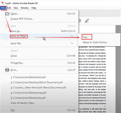 how to convert pdf to text document
